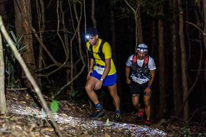 BIB: 2683
                            <button type="button" onclick="openModal(19033951)" class="btn btn-primary btn-sm float-right btn-popup" data-toggle="modal" data-target=".modal-high-quality">
                        <i class="fas fa-shopping-cart"></i> Add to Cart
                    </button>
                                            <button type="button" onclick="isThisMe(19033951, true)" class="btn btn-success btn-sm float-right btn-popup btn-isme hidden" data-toggle="tooltip" data-placement="bottom" title="นี่คือรูปของคุณใช่ไหม คลิกที่นี่เพื่อเอาเข้าอัลบั้ม">
                        <i class="fas fa-plus"></i> Add to album
                    </button>
                    <button type="button" onclick="isThisMe(19033951, false)" class="btn btn-warning btn-sm float-right btn-popup btn-isnotme hidden">
                        <i class="fas fa-ban"></i> Remove from album
                    </button>